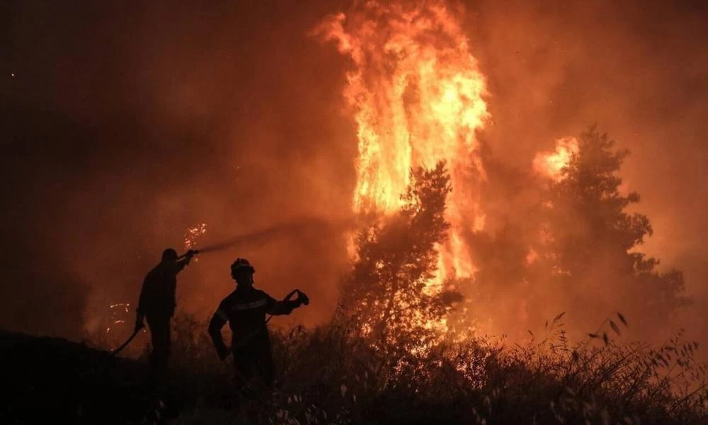 Πυρκαγιές: Συνολικά 1.301.239 στρέμματα "αφανίστηκαν" από τις αρχές του 2021 μέχρι και τέλος Οκτωβρίου
